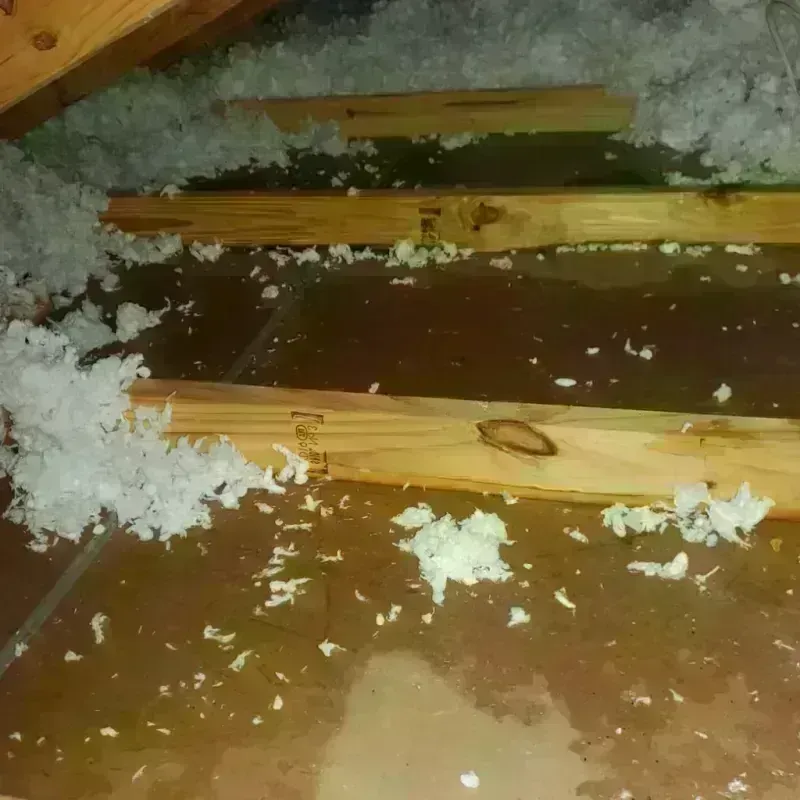 Attic Water Damage in Xenia, OH