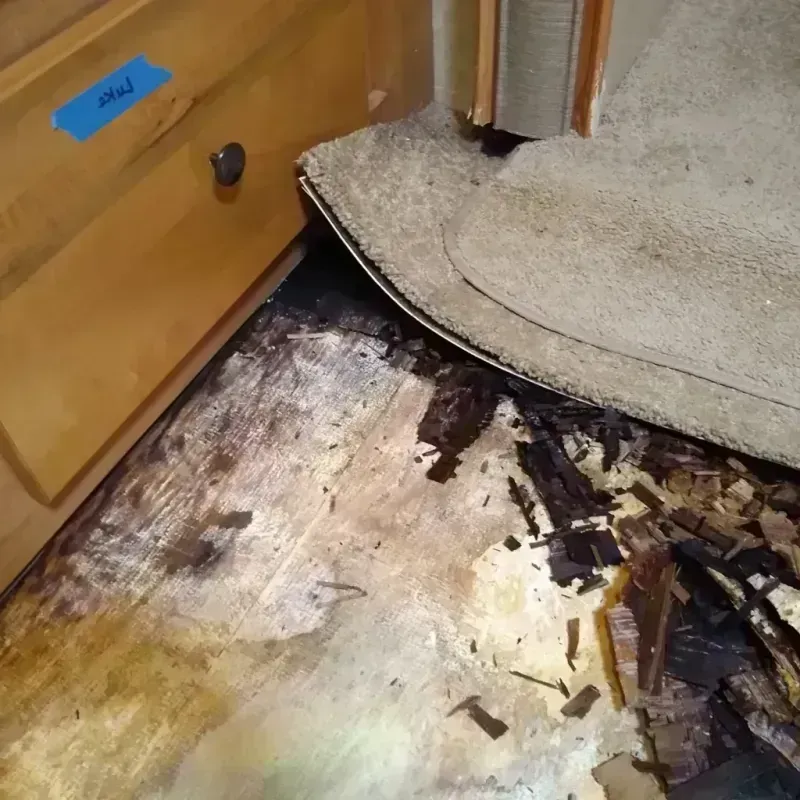 Wood Floor Water Damage in Xenia, OH